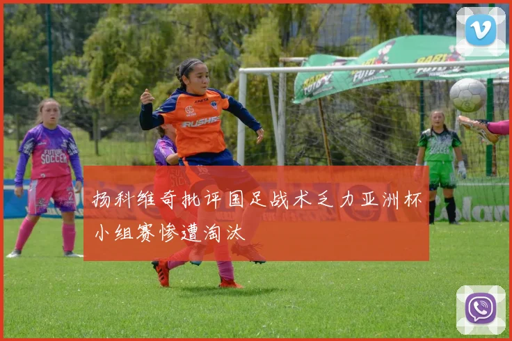 扬科维奇批评国足战术乏力亚洲杯小组赛惨遭淘汰